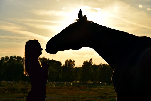 kennismaking paardencoaching op 30 september