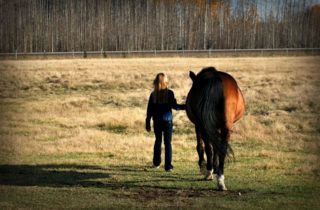 paardenkracht voor pubers Winschoten