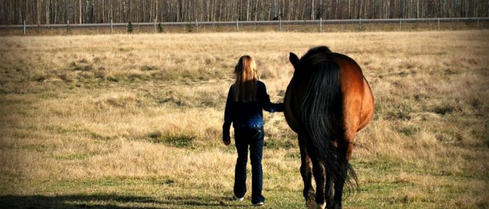 paardenkracht voor pubers Winschoten