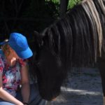 kennismaking paardencoaching