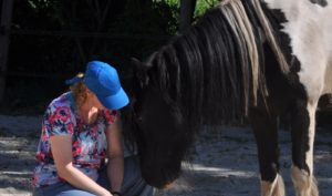 kennismaking paardencoaching