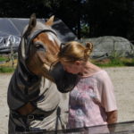 kennismaking paardencoaching op 30 september