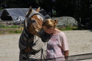 kennismaking paardencoaching op 30 september