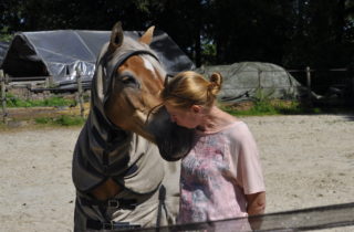 kennismaking paardencoaching op 30 september