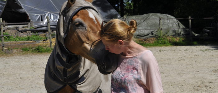 kennismaking paardencoaching op 30 september