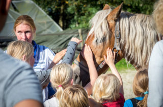 boeren en burendag