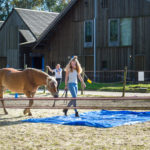 boeren en burendag