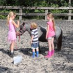 pony power voor kids