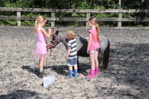 pony power voor kids