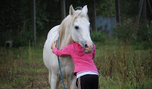 pony en mindfullness op 21 september