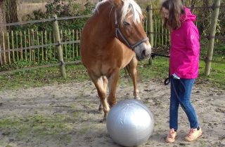 Paardenkracht voor Pubers in Haren op 13 mei