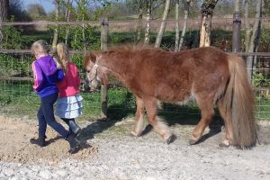 Pony Pret ochtend op zaterdag 14 mei