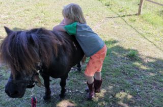 Pony en mindfullness op 21 september