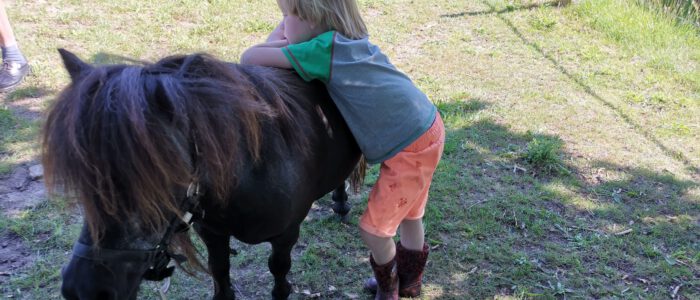 Pony en mindfullness op 21 september