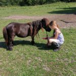 pony power voor kids start 17 november