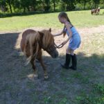 Pony Power deel 2