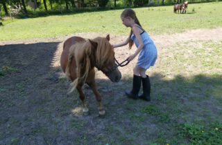 Pony Power deel 2