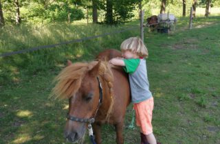 pony pret ochtend op 12 november