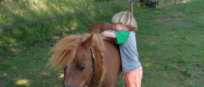 pony pret ochtend op 12 november