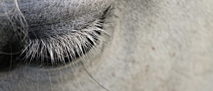 tijd voor jezelf dag op zondag 26 september