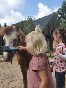 Pony Pret Ochtend op zaterdag 9 juli
