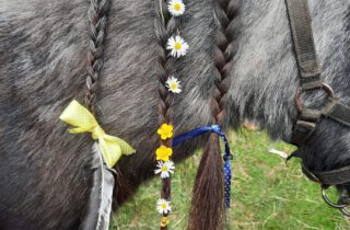 pony pret dag op zaterdag 15 oktober