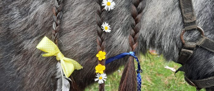 pony pret dag op zaterdag 15 oktober