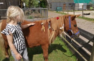 Pony pret ochtend op zaterdag 9 juli