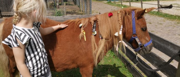 Pony pret ochtend op zaterdag 9 juli